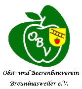 OBV Breuningsweiler 