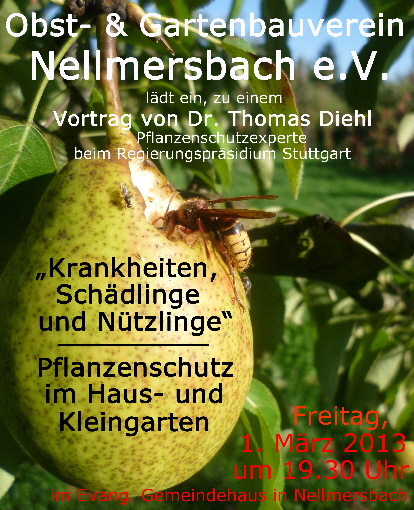 Vortrag Nellmersbach kleine Datei